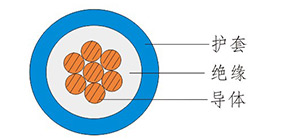 81.jpg